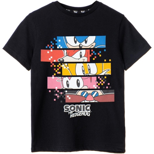 Abbigliamento Bambino T-shirts a maniche lunghe Sonic The Hedgehog NS7393 Nero