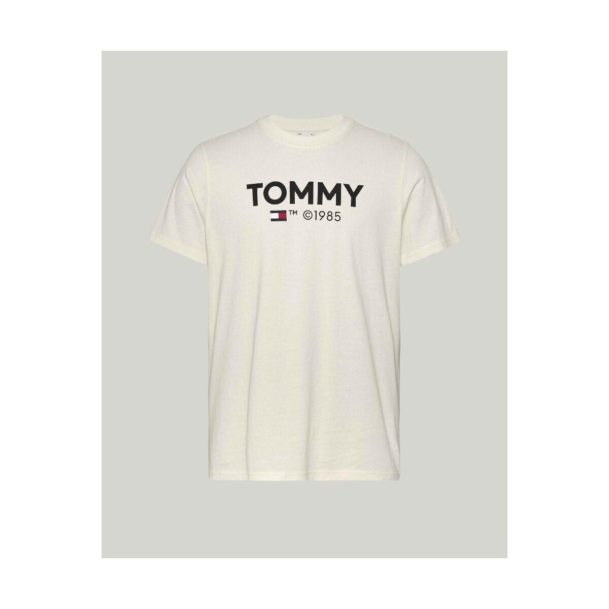 Abbigliamento Uomo T-shirt maniche corte Tommy Hilfiger DM0DM18264YBH Bianco