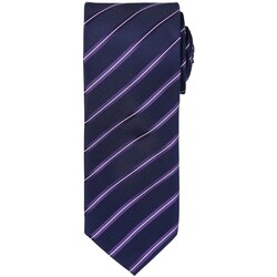 Abbigliamento Uomo Cravatte e accessori Premier PR784 Viola