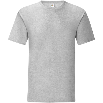 Abbigliamento Uomo T-shirts a maniche lunghe Fruit Of The Loom Iconic 150 Grigio