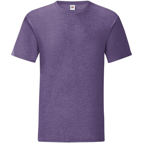 Abbigliamento Uomo T-shirts a maniche lunghe Fruit Of The Loom Iconic 150 Viola