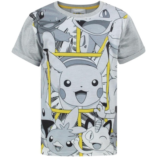 Abbigliamento Bambino T-shirts a maniche lunghe Pokemon NS7650 Grigio