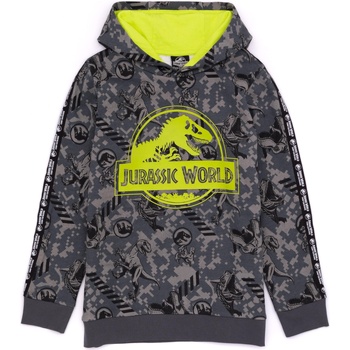 Abbigliamento Unisex bambino Felpe Jurassic World: Camp Cretaceous NS7648 Grigio