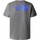 Abbigliamento Uomo T-shirt & Polo The North Face NF0A87EW Grigio