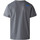Abbigliamento Uomo T-shirt & Polo The North Face NF0A87ND Grigio