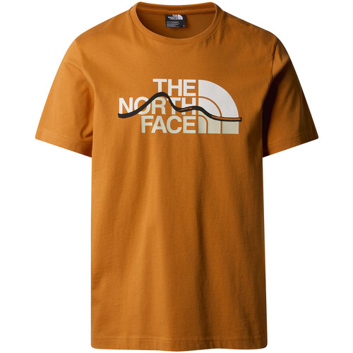 Abbigliamento Uomo T-shirt & Polo The North Face NF0A87NT Arancio