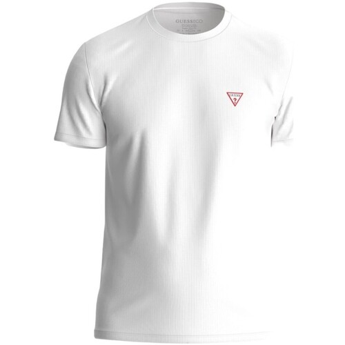 Abbigliamento Uomo T-shirt maniche corte Guess M2YI24 J1314 Bianco