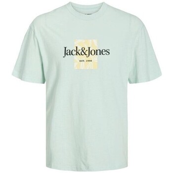 Abbigliamento Uomo T-shirt maniche corte Jack & Jones 12250436 JORLAFAYETTE Verde