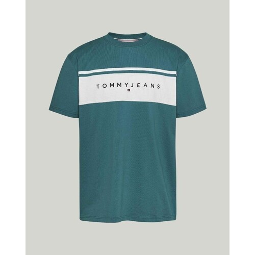Abbigliamento Uomo T-shirt maniche corte Tommy Hilfiger DM0DM18658CT0 Verde