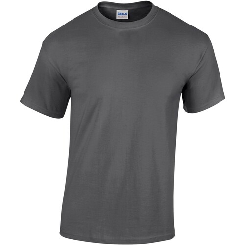 Abbigliamento Uomo T-shirts a maniche lunghe Gildan GD05 Grigio