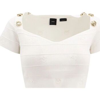 Abbigliamento Donna Top / T-shirt senza maniche Pinko HOODIA 102882 A1LK-Z04 Bianco