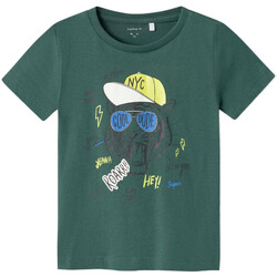 Abbigliamento Bambino T-shirt & Polo Name it 13226080 Verde