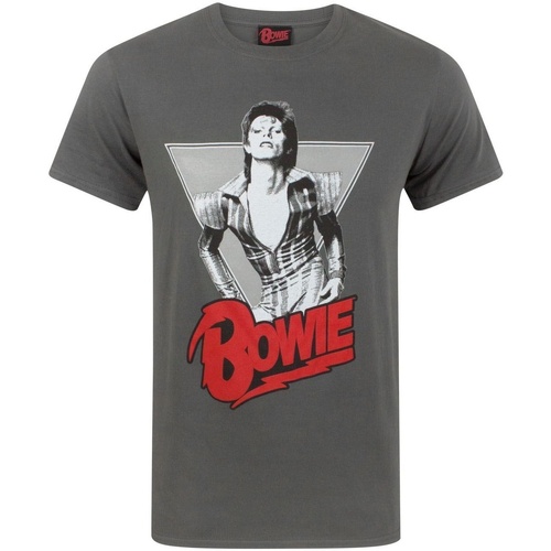 Abbigliamento Uomo T-shirts a maniche lunghe David Bowie NS4376 Grigio