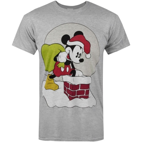 Abbigliamento Uomo T-shirts a maniche lunghe Disney NS5485 Grigio