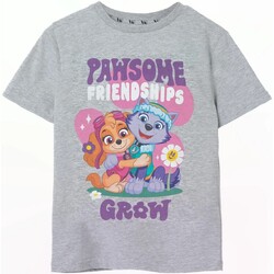 Abbigliamento Bambina T-shirts a maniche lunghe Paw Patrol Pawsome Friendships Grigio