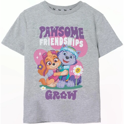 Abbigliamento Bambina T-shirts a maniche lunghe Paw Patrol Pawsome Friendships Grigio