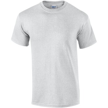 Abbigliamento Uomo T-shirts a maniche lunghe Gildan GD02 Grigio