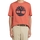 Abbigliamento Uomo T-shirt maniche corte Timberland 227500 Arancio