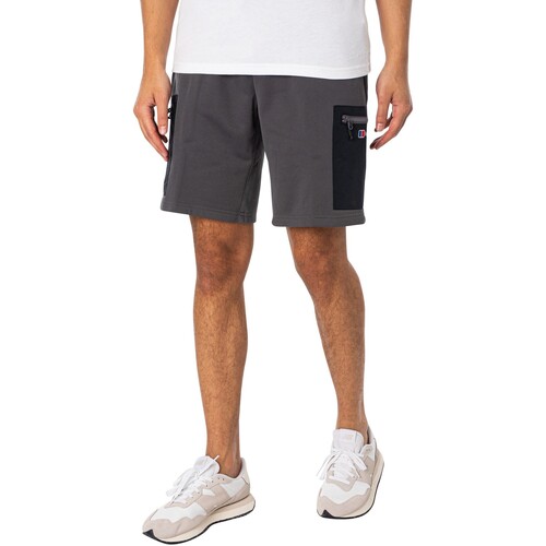 Abbigliamento Uomo Shorts / Bermuda Berghaus Pantaloncini di reazione Grigio
