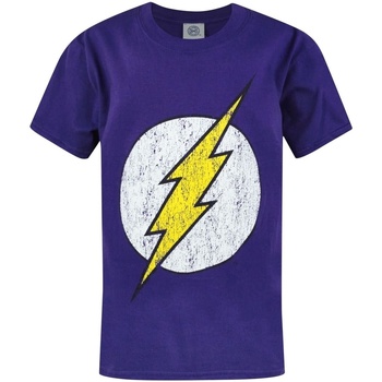 Abbigliamento Bambino T-shirt maniche corte Dc Comics The Flash Viola