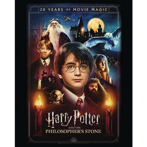 Casa Poster Harry Potter PM3413 Multicolore