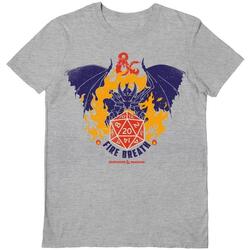 Abbigliamento T-shirts a maniche lunghe Dungeons & Dragons Fire Breath Grigio