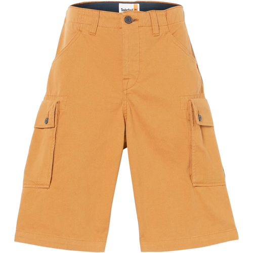Abbigliamento Uomo Shorts / Bermuda Timberland 227609 Marrone