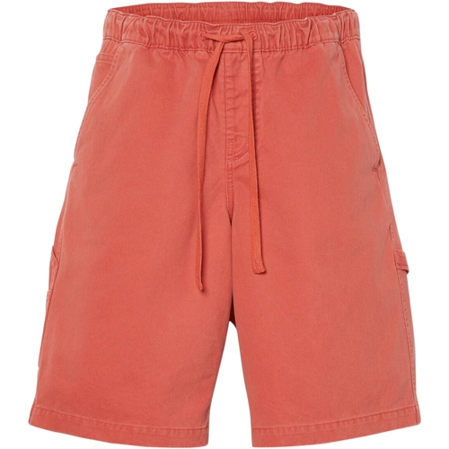Abbigliamento Uomo Shorts / Bermuda Timberland 227616 Rosso