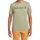 Abbigliamento Uomo T-shirt maniche corte Timberland 227441 Verde