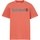 Abbigliamento Uomo T-shirt maniche corte Timberland 227446 Arancio