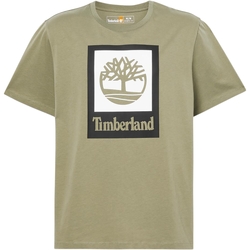 Abbigliamento Uomo T-shirt maniche corte Timberland 227460 Verde