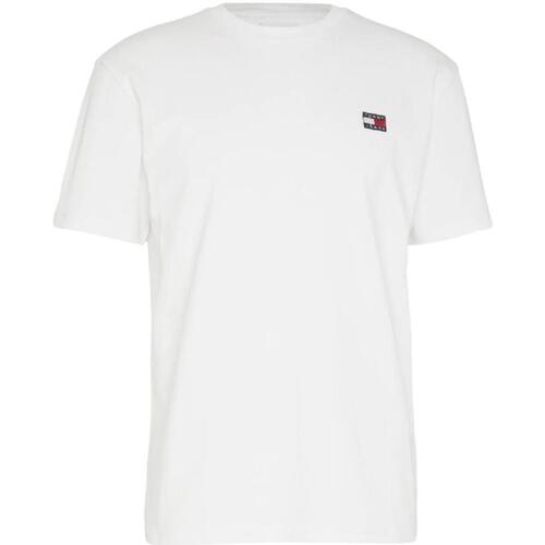 Abbigliamento Uomo T-shirt maniche corte Tommy Hilfiger  Bianco