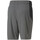Abbigliamento Uomo Shorts / Bermuda Puma 522354-44 Grigio