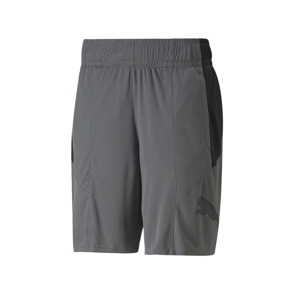 Abbigliamento Uomo Shorts / Bermuda Puma 522354-44 Grigio