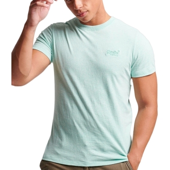 Abbigliamento Uomo T-shirt maniche corte Superdry Essential Logo Verde