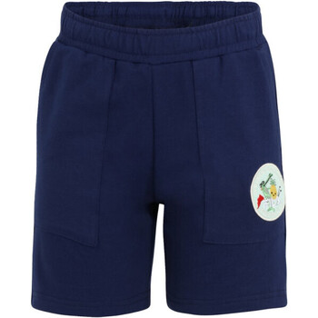 Abbigliamento Bambino Shorts / Bermuda Fila FAK0188-50001 Blu