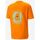 Abbigliamento Uomo T-shirt & Polo Puma 539181-23 Arancio