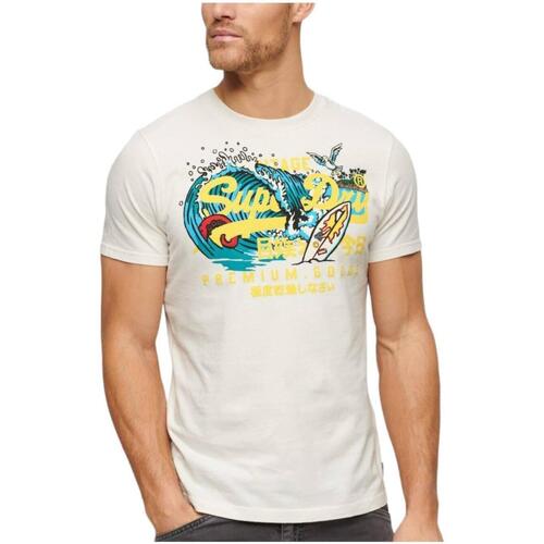 Abbigliamento Uomo T-shirt maniche corte Superdry  Beige