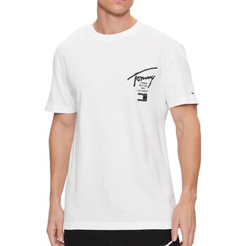 Abbigliamento Uomo T-shirt & Polo Tommy Hilfiger DM0DM17716 Bianco