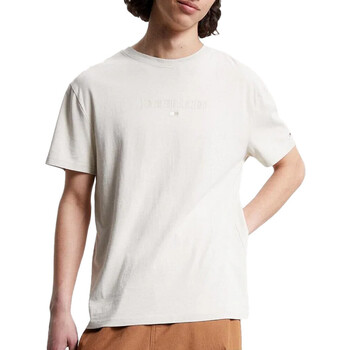 Abbigliamento Uomo T-shirt & Polo Tommy Hilfiger DM0DM17717 Beige