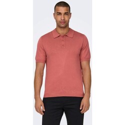 Abbigliamento Uomo T-shirt maniche corte Only & Sons  22022219 WYLER Rosso