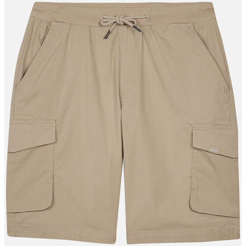 Abbigliamento Uomo Shorts / Bermuda Oxbow Short cargo OTIKO Grigio