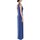 Abbigliamento Donna Pantaloni 5 tasche Ralph Lauren 253751483 Blu