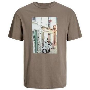 Abbigliamento Uomo T-shirt maniche corte Jack & Jones  Marrone