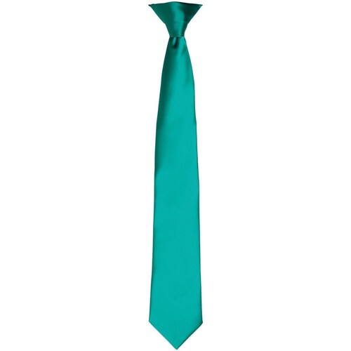 Abbigliamento Cravatte e accessori Premier PR755 Multicolore