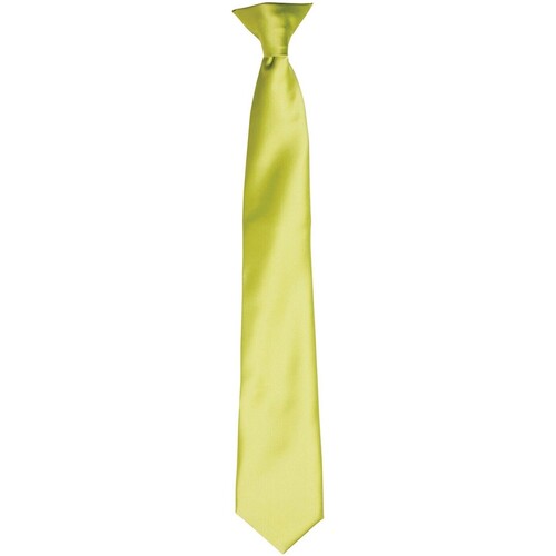 Abbigliamento Cravatte e accessori Premier PR755 Verde