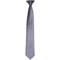 Abbigliamento Cravatte e accessori Premier PR755 Grigio