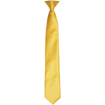 Abbigliamento Cravatte e accessori Premier PR755 Multicolore