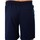 Abbigliamento Uomo Shorts / Bermuda Sergio Tacchini Pietrapertosa Sweat Shorts Blu