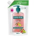 Image of Corpo e Bagno Sanytol Replacement Sapone Da Cucina Antibatterico Eco